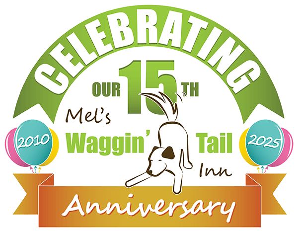 15-Year Celebration Badge